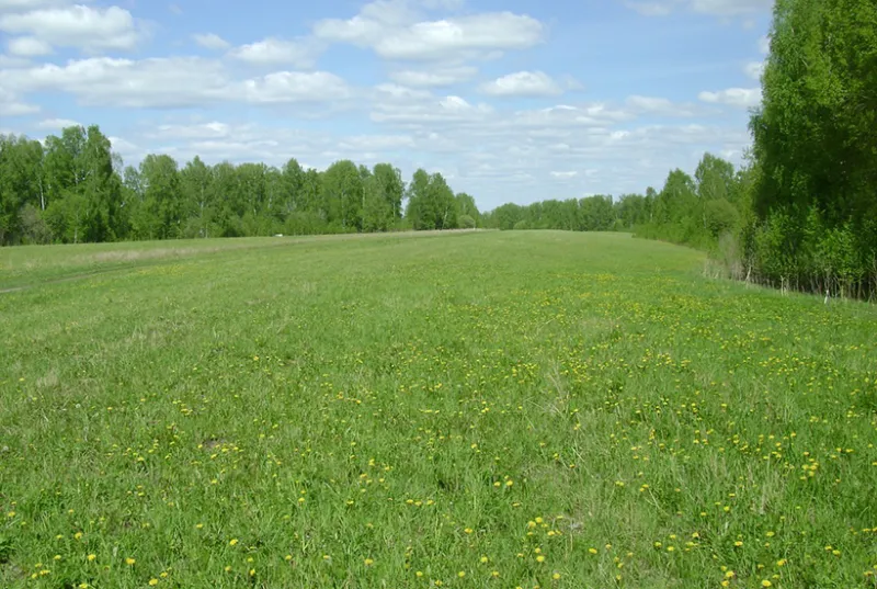 Спрос на «загородке» Подмосковья вырос за счет дешевой земли