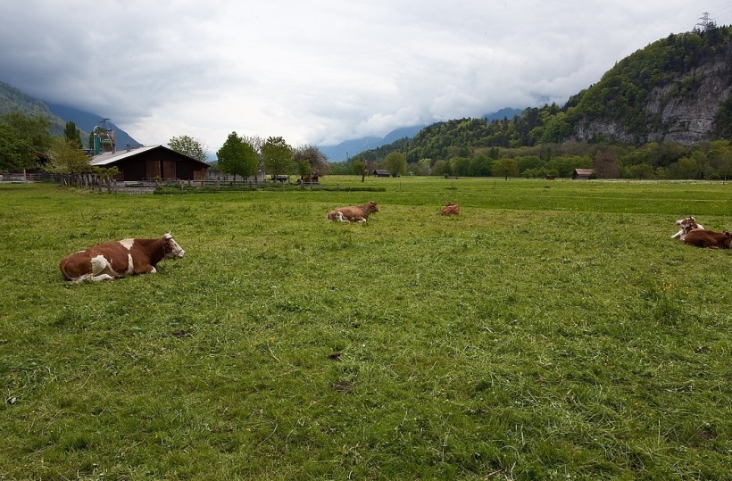 Инвестируем 1 млн долларов: валюта, недвижимость, сельхозугодия