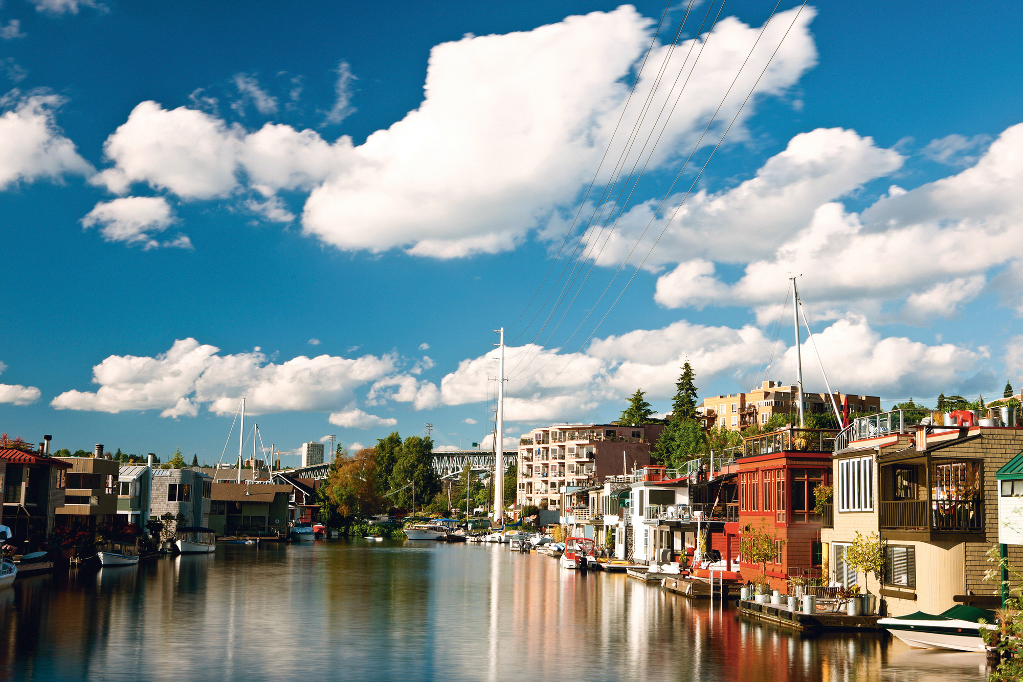 Личный опыт аренды квартир в США. Птиц не приносить, раковину не прочищать