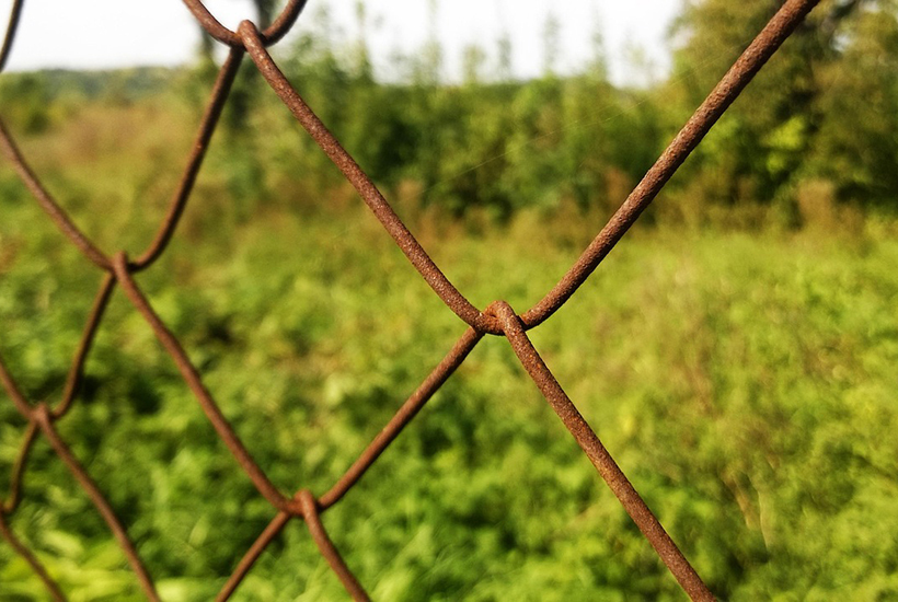 Хлам да бурьян: власти всерьез занялись проблемой неиспользованных участков