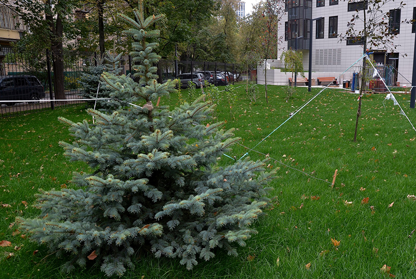 Счастье на Масловке (Мишина, 14)