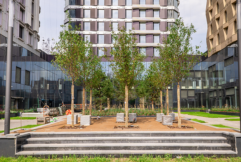 D1 (Д1, Дмитровское, 1)