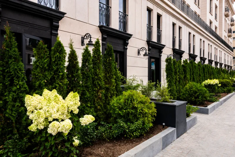 Приватная территория: как устроен сад клубного дома Quartier d’Or в Замоскворечье
